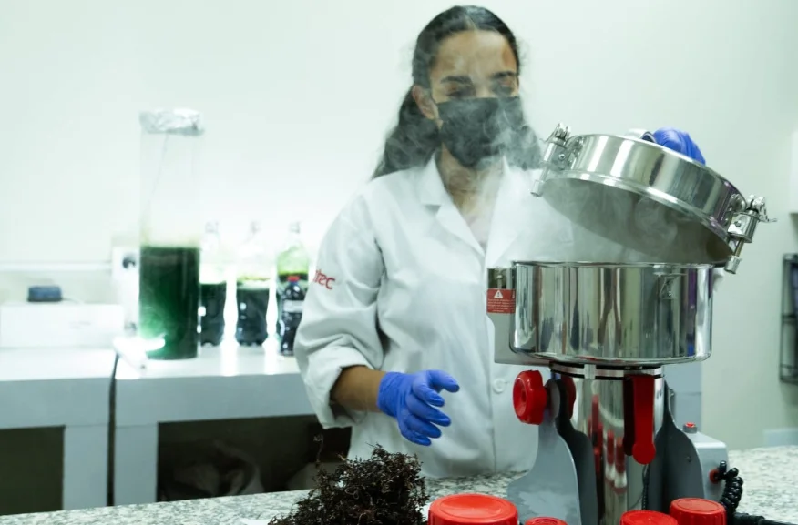 Biofertilizante costero
