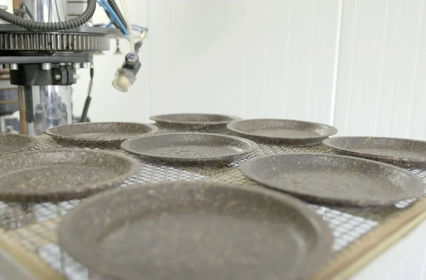 Bioplásticos de sargazo